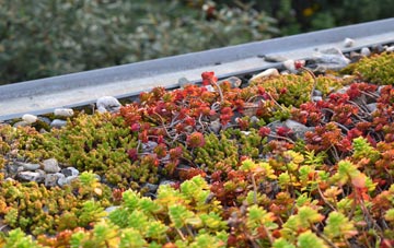 the cost of Stank green roof installation