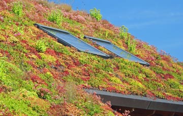 Stank living roof systems
