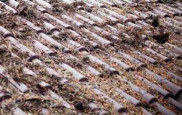 Stank roof cleaning companies